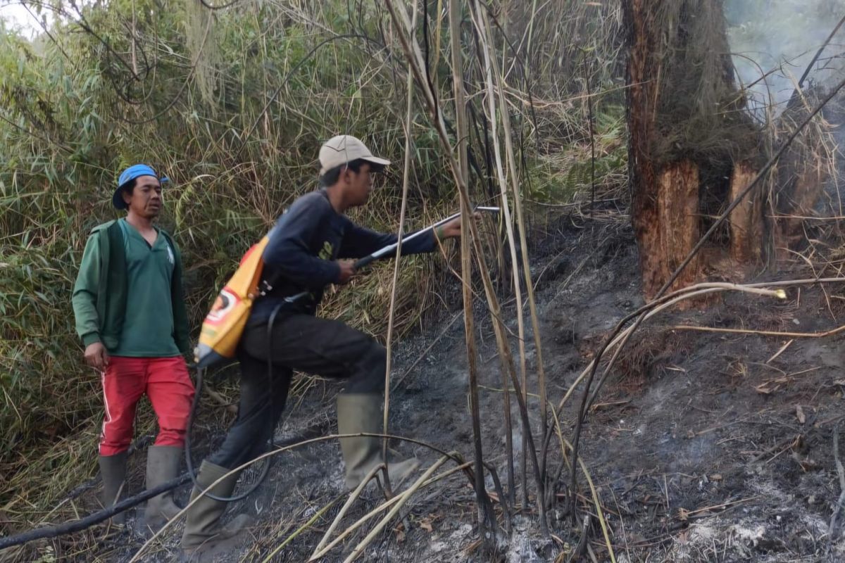Imbas Kebakaran Ranu Kembang, Jalur Semeru Ditutup Total Imbas Kebakaran Ranu Kembang, Jalur Semeru Ditutup Total