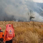 Lahan Terbakar Gunung Bromo Capai 7,9 Hektare Meluas ke Probolinggo