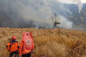 Lahan Terbakar Gunung Bromo Capai 7,9 Hektare Meluas ke Probolinggo Lahan Terbakar Gunung Bromo Capai 7,9 Hektare Meluas ke Probolinggo