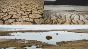 El Nino Ancam Indonesia dengan Kekeringan dan Karhutla El Nino Ancam Indonesia dengan Kekeringan dan Karhutla