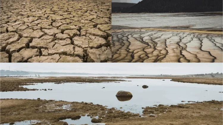El Nino Ancam Indonesia dengan Kekeringan dan Karhutla El Nino Ancam Indonesia dengan Kekeringan dan Karhutla