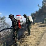 8 Titik Panas di Bromo Jadi Fokus Pembasahan Tim
