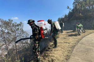 8 Titik Panas di Bromo Jadi Fokus Pembasahan Tim