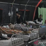 Waspada! BMKG Catat 2.403 Gempa Susulan Pascagempa Flores 7,7 Magnitudo