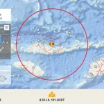 BMKG: Gempa Susulan di NTT Berpotensi Terjadi hingga 30 Hari