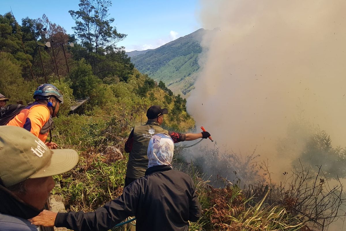 Kebakaran Bromo Meluas Pemadaman Terhambat Medan Terjal Kebakaran Bromo Meluas Pemadaman Terhambat Medan Terjal