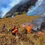 TNBTS Duga Kebakaran Bromo akibat Ulah Manusia
