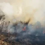 Karhutla Semeru Meluas 10 Hektare Akibat Angin Kencang