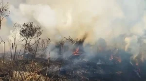 Karhutla Semeru Meluas 10 Hektare Akibat Angin Kencang