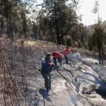 Kebakaran Hutan Arjuno-Welirang Berhasil Dipadamkan