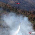 Sisa Satu Titik Api, Kebakaran Gunung Arjuno Belum Padam