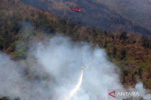 Sisa Satu Titik Api, Kebakaran Gunung Arjuno Belum Padam