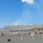 Hari Pertama Buka Pasca-kebakaran, Bromo Sedot 1.086 Turis