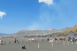 Hari Pertama Buka Pasca-kebakaran, Bromo Sedot 1.086 Turis