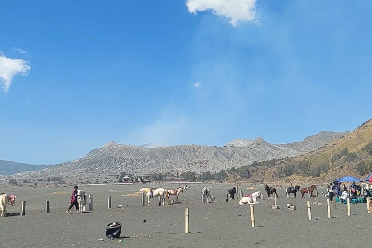 Hari Pertama Buka Pasca-kebakaran, Bromo Sedot 1.086 Turis Hari Pertama Buka Pasca-kebakaran, Bromo Sedot 1.086 Turis