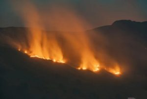 Kebakaran di Kawasan Bromo Meluas ke Jemplang Malang Kebakaran di Kawasan Bromo Meluas ke Jemplang Malang
