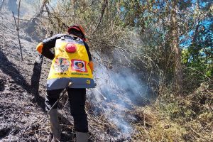 Kebakaran Gunung Semeru Meluas Jadi 3.072 Hektar Kebakaran Gunung Semeru Meluas Jadi 3.072 Hektar