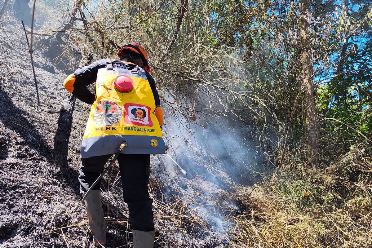 Kebakaran Gunung Semeru Meluas Jadi 3.072 Hektar Kebakaran Gunung Semeru Meluas Jadi 3.072 Hektar