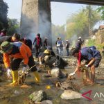 Hari Sungai Sedunia: Warga Jember Bersihkan Sungai Bedadung
