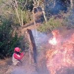 Gunung Butak Kembali Terbakar, Titik Api Muncul Lagi