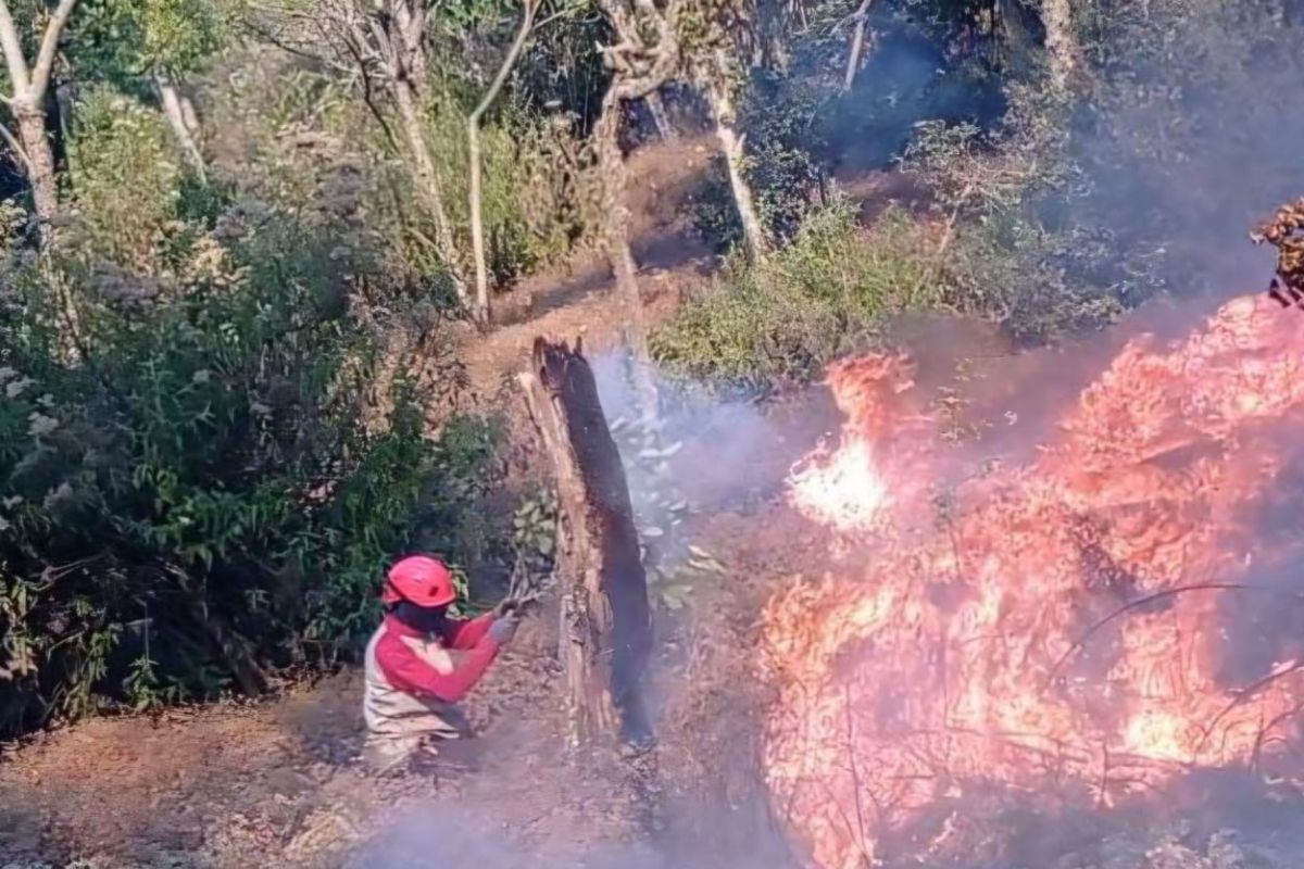 Gunung Butak Kembali Terbakar, Titik Api Muncul Lagi