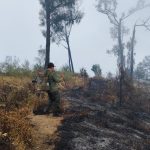 Peringatan! Kebakaran Gunung Buthak Meluas hingga Kabupaten Blitar