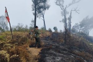 Peringatan! Kebakaran Gunung Buthak Meluas hingga Kabupaten Blitar