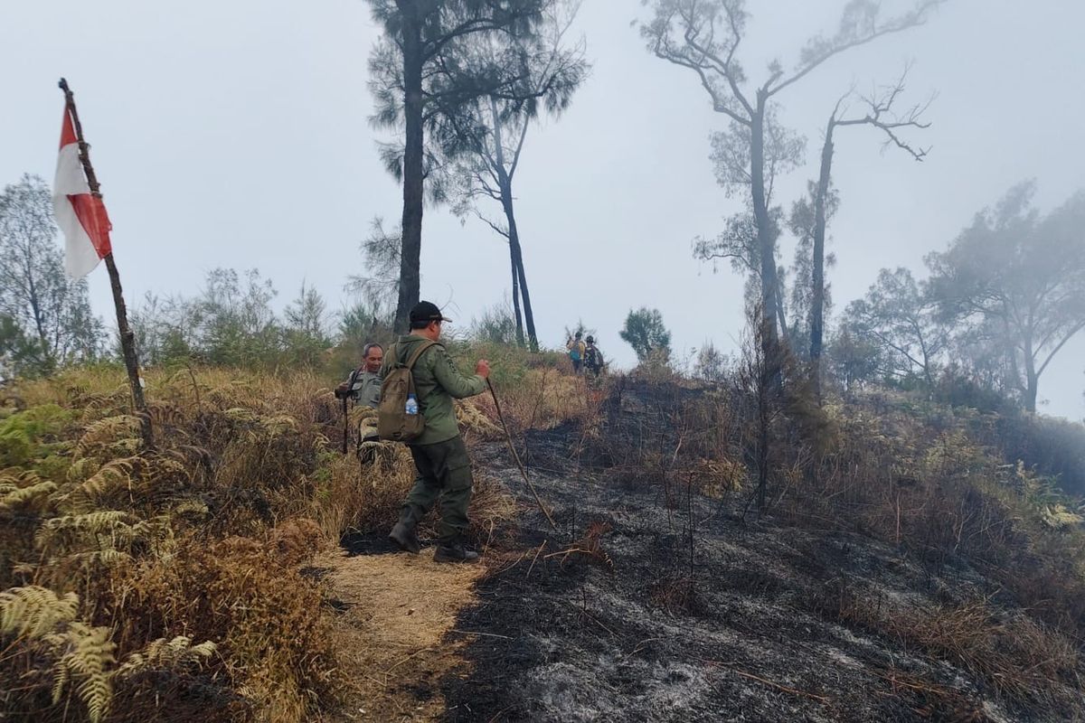 Peringatan! Kebakaran Gunung Buthak Meluas hingga Kabupaten Blitar Peringatan! Kebakaran Gunung Buthak Meluas hingga Kabupaten Blitar