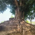 SMPN 10 Jember dan Candi Deres Resmi Jadi Cagar Budaya Baru