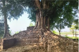 SMPN 10 Jember dan Candi Deres Resmi Jadi Cagar Budaya Baru