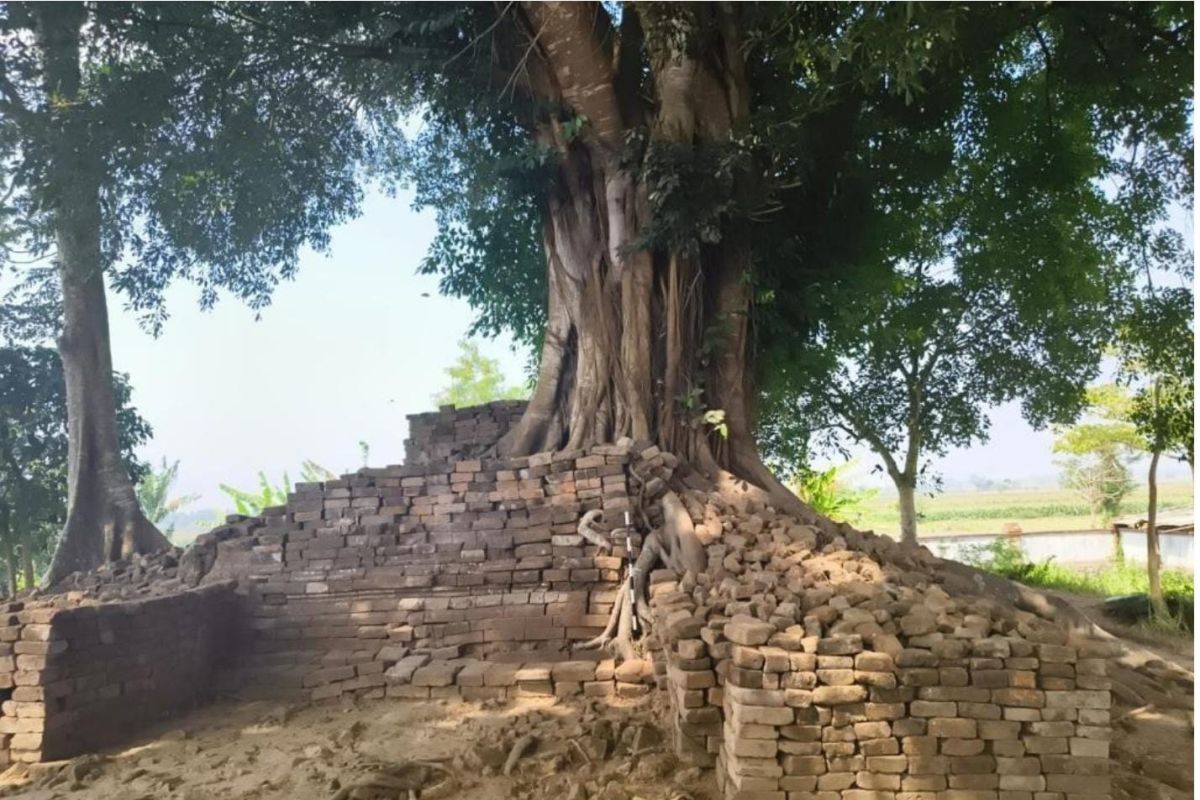 SMPN 10 Jember dan Candi Deres Resmi Jadi Cagar Budaya Baru SMPN 10 Jember dan Candi Deres Resmi Jadi Cagar Budaya Baru