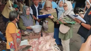 Dipicu Emas dan Daging Ayam, Indeks Fluktuasi Harga Mojokerto Naik