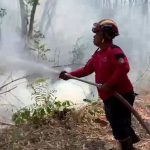 Damkar Tulungagung Jinakkan 5 Hektare Karhutla Gunung Budeg
