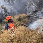 Tim Gabungan Tangani Kebakaran Hutan Gunung Butak Malang