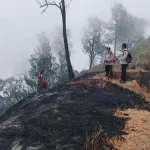 Kebakaran Gunung Kawi Hanguskan 1.534 Hektar Lahan dan Pipa Air