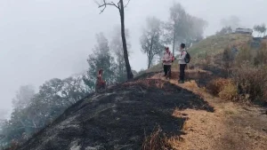 Kebakaran Gunung Kawi Hanguskan 1.534 Hektar Lahan dan Pipa Air