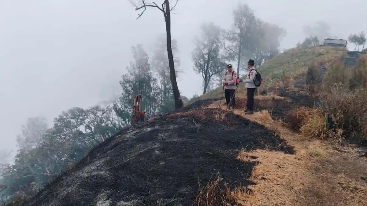 Kebakaran Gunung Kawi Hanguskan 1.534 Hektar Lahan dan Pipa Air
