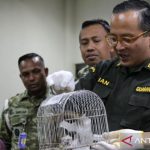 Balai Karantina Gagalkan Penyelundupan Satwa di Bandara Juanda