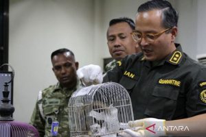 Balai Karantina Gagalkan Penyelundupan Satwa di Bandara Juanda