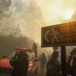 Kebakaran Meluas Jalur Pendakian Kawah Ijen Ditutup