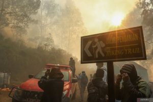 Kebakaran Meluas Jalur Pendakian Kawah Ijen Ditutup Kebakaran Meluas Jalur Pendakian Kawah Ijen Ditutup