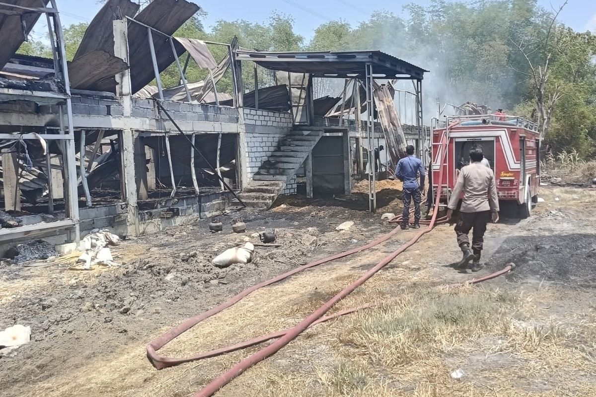 Kandang Ludes Terbakar 12 Ribu Ayam Mati di Lamongan Kandang Ludes Terbakar 12 Ribu Ayam Mati di Lamongan