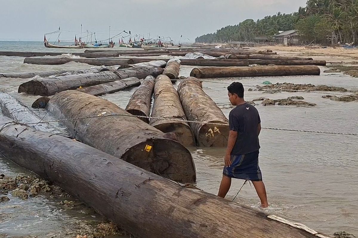 Terungkap, Ini Asal Ratusan Kayu Gelondongan Terdampar di Sumenep Terungkap, Ini Asal Ratusan Kayu Gelondongan Terdampar di Sumenep