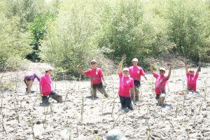 Pertamina Tanam 1.000 Mangrove di KEE Ujungpangkah Gresik