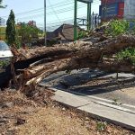 BMKG Juanda Rilis Peringatan Dini Angin Kencang di 38 Wilayah Jatim