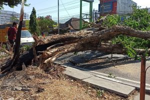 BMKG Juanda Rilis Peringatan Dini Angin Kencang di 38 Wilayah Jatim