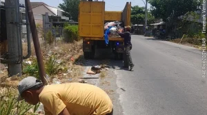 DLH Gresik Sapu Bersih Ceceran Sampah di Randegansari DLH Gresik Sapu Bersih Ceceran Sampah di Randegansari