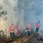 Jawa Timur Dikepung Karhutla BPBD Siapkan Hujan Buatan