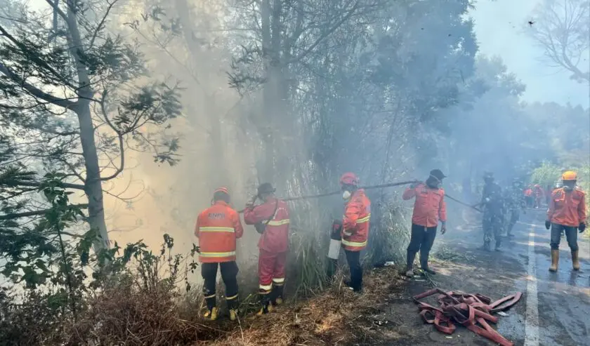 Jawa Timur Dikepung Karhutla BPBD Siapkan Hujan Buatan Jawa Timur Dikepung Karhutla BPBD Siapkan Hujan Buatan
