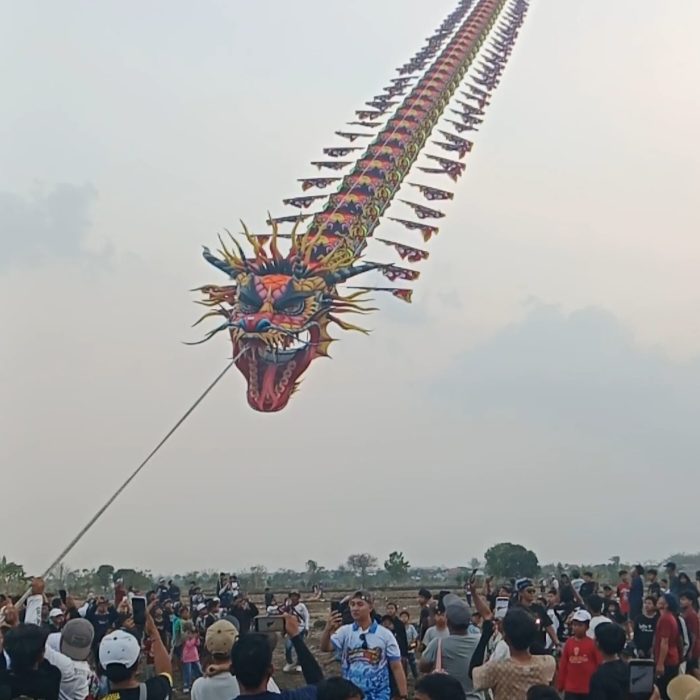 10 Tahun Festival Layang Dohoagung Jaga Tradisi-Budaya dan Ekonomi Warga 10 Tahun Festival Layang Dohoagung Jaga Tradisi-Budaya dan Ekonomi Warga